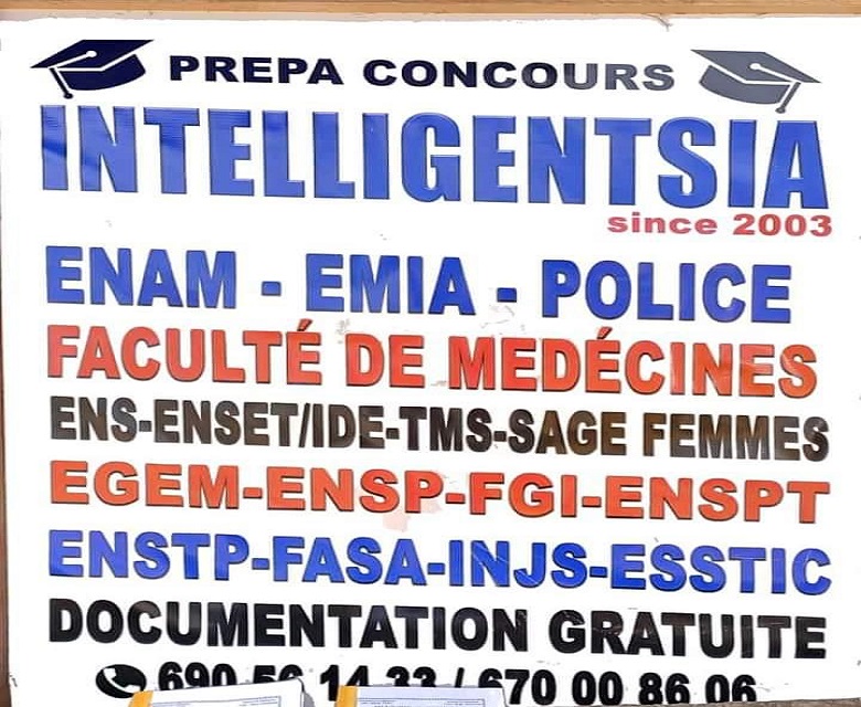 Groupe Intelligensia New Generation-Yaoundé